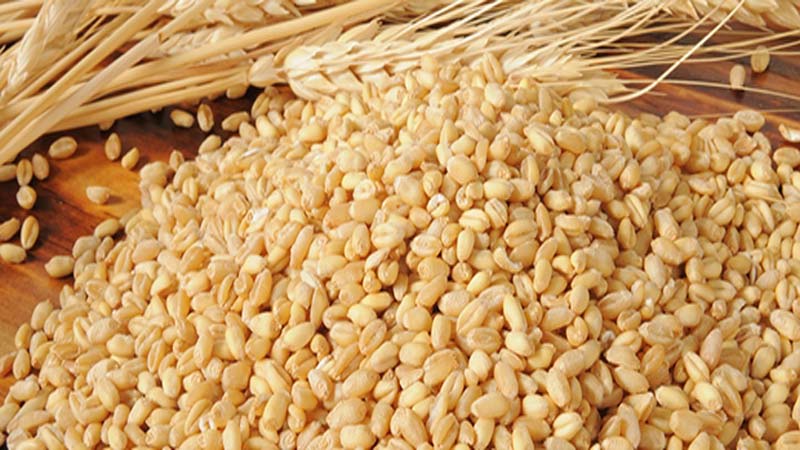 Now, substandard wheat from France, Romania