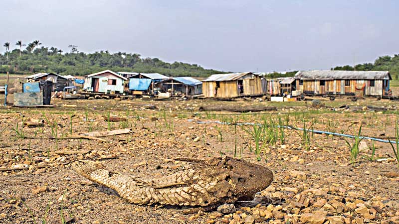 WB’s undue ‘intervention’